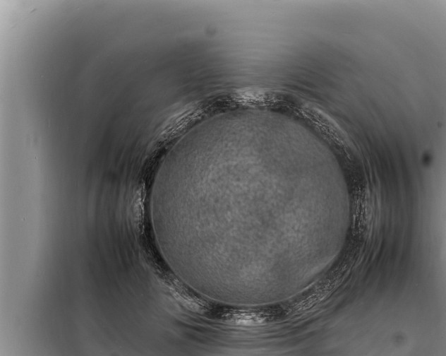 X0000098180702200805011036