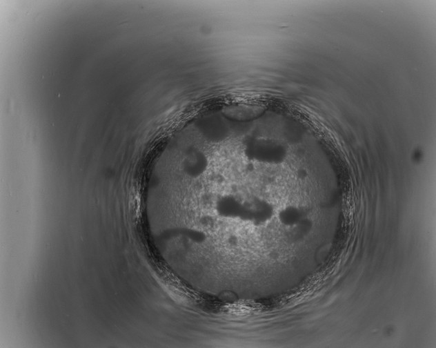 X0000098180703200805011036