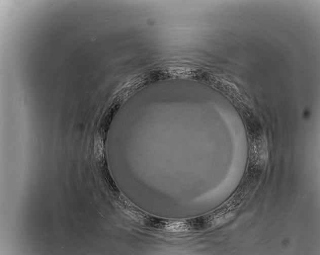 X0000098180705200805011036