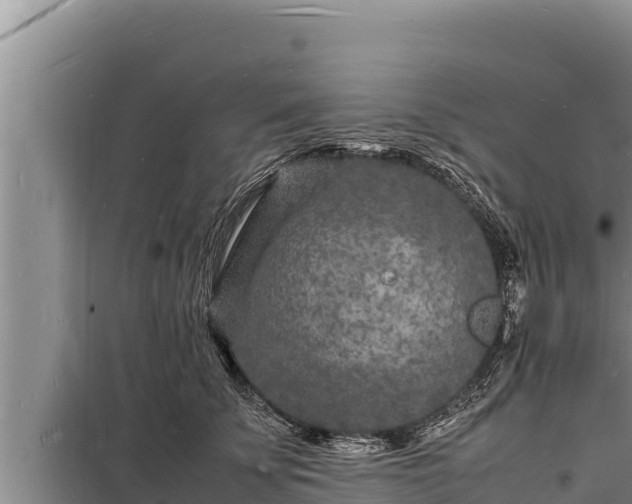 X0000098180707200805011036