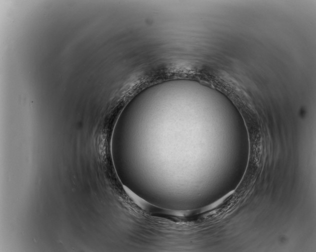 X0000098180708200805011036