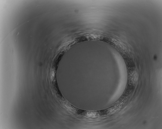 X0000098180709200805011036