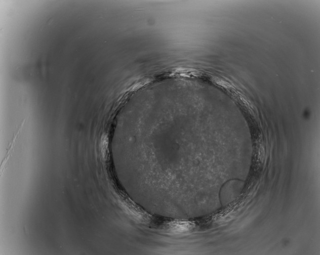 X0000098180711200805011036