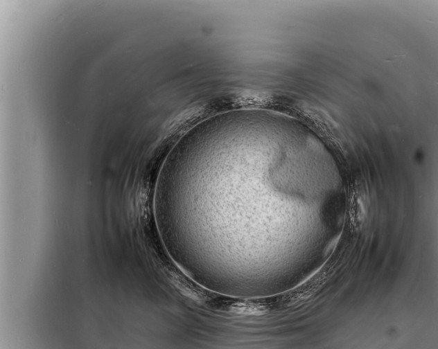 X0000098180714200805011036