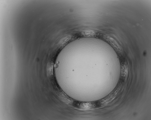 X0000098180717200805011036