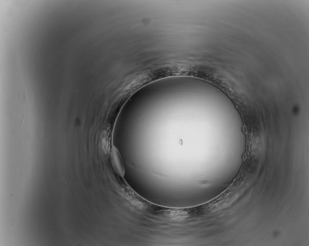 X0000098180719200805011036