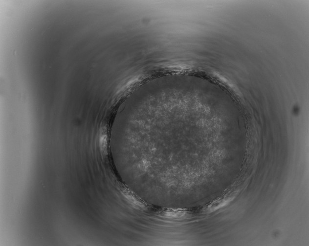 X0000098180720200805011036