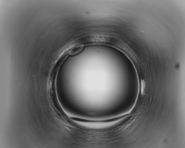 X0000098180723200805011035