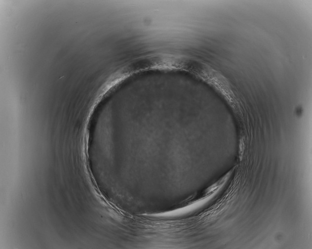 X0000098180724200805011035