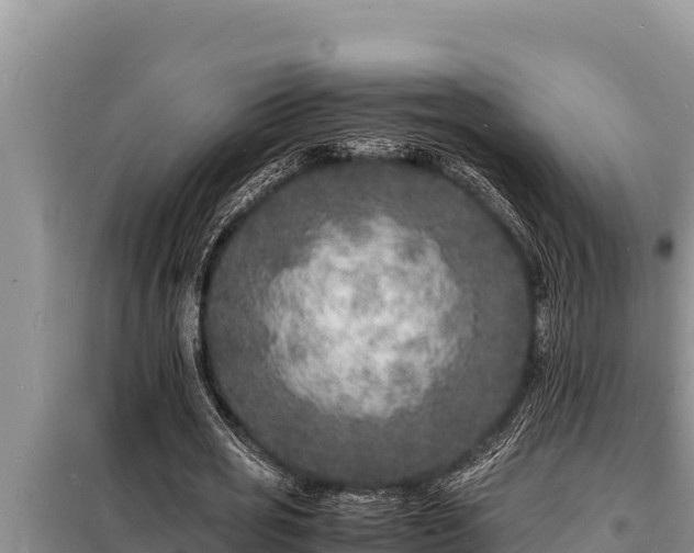 X0000098180725200805011035