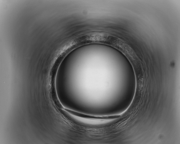 X0000098180727200805011035