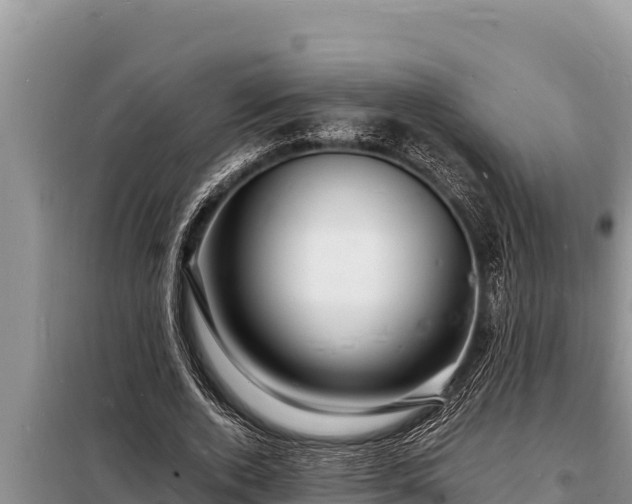 X0000098180728200805011035