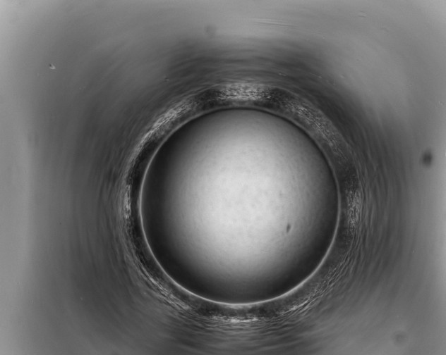 X0000098180731200805011035