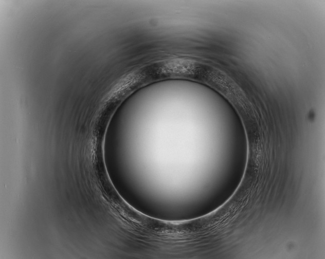 X0000098180735200805011035