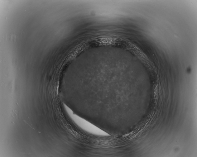 X0000098180737200805011035