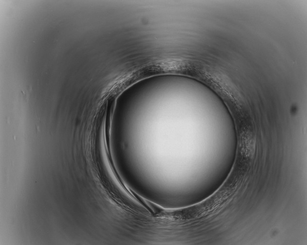 X0000098180740200805011035