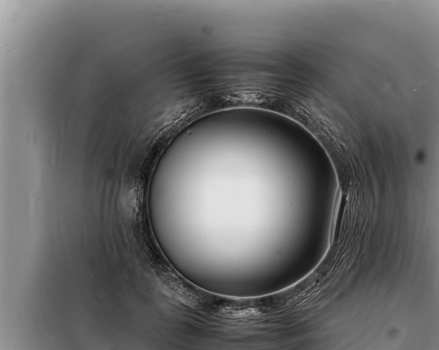 X0000098180747200805011035