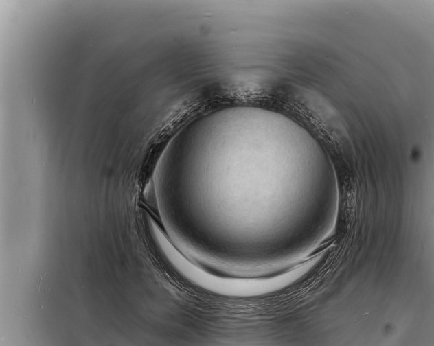 X0000098180750200805011035