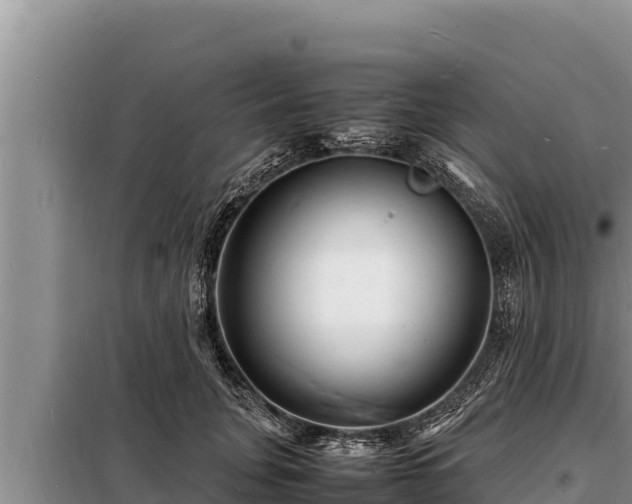 X0000098180751200805011036