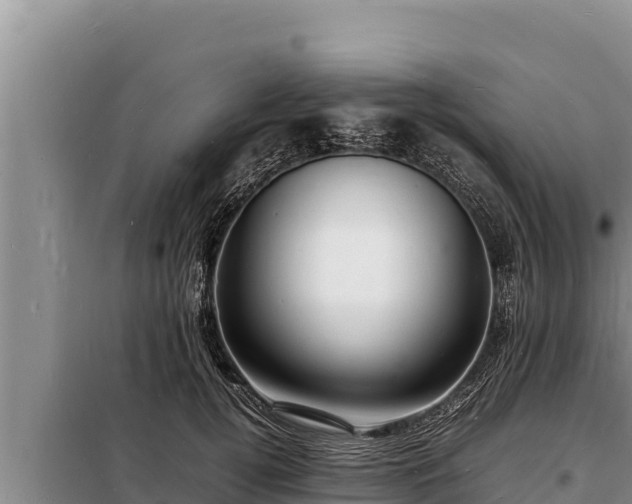 X0000098180752200805011036