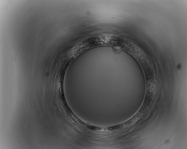 X0000098180754200805011036