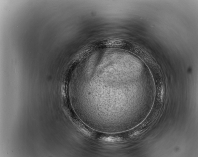 X0000098180755200805011036