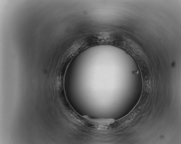 X0000098180756200805011036