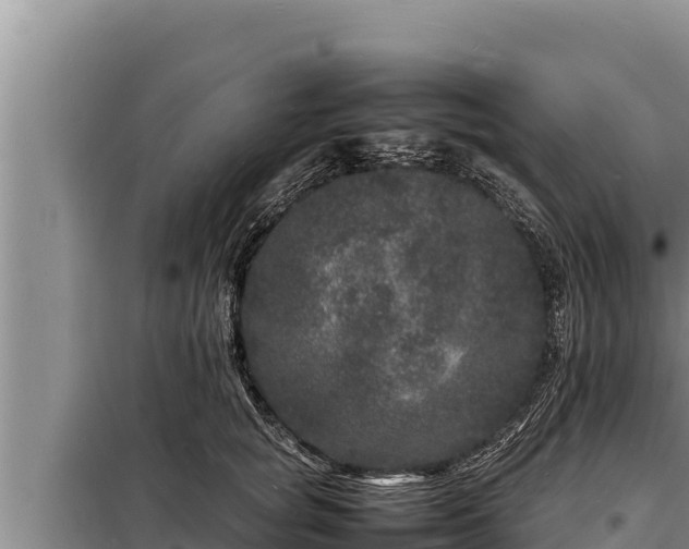 X0000098180757200805011036