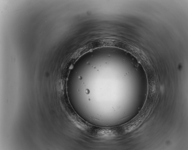 X0000098180759200805011036