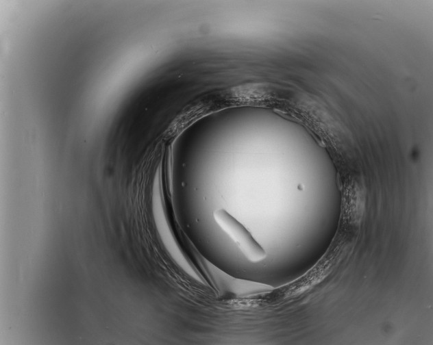 X0000098180762200805011036