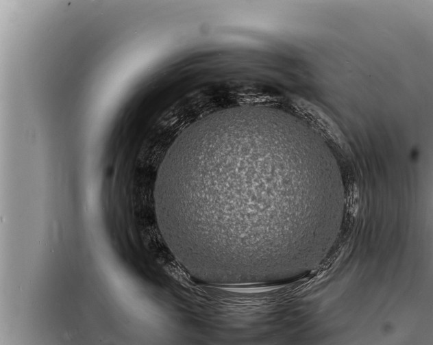 X0000098180763200805011036