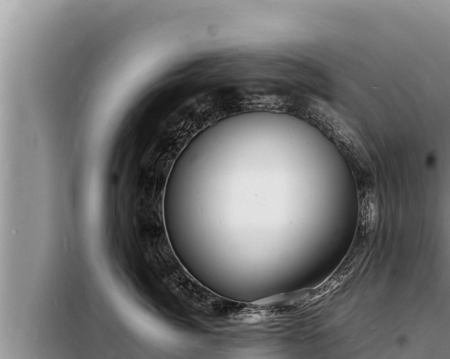 X0000098180764200805011036