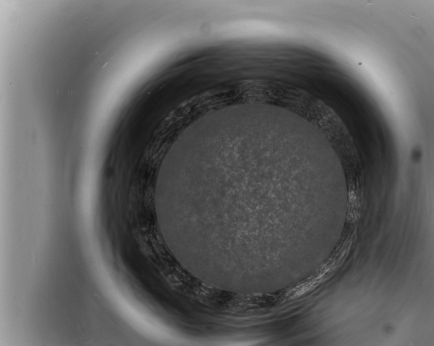 X0000098180765200805011036