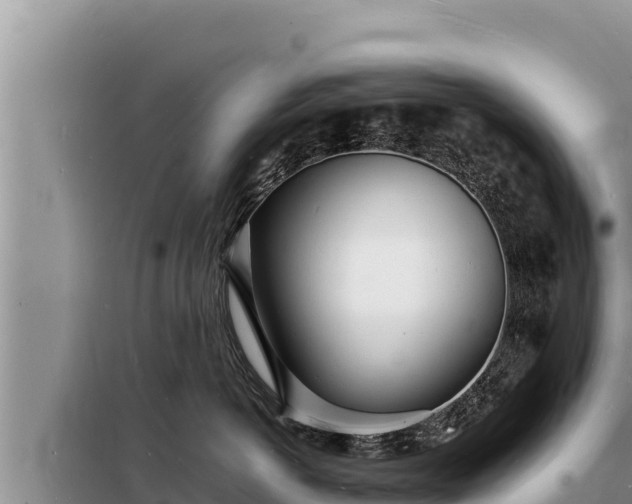 X0000098180766200805011036