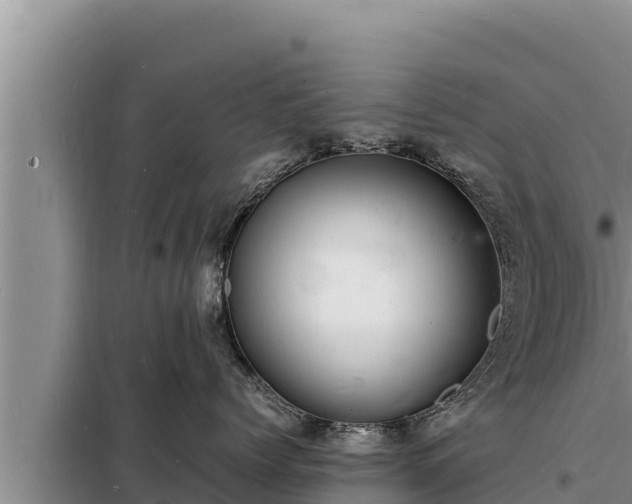 X0000098180768200805011036