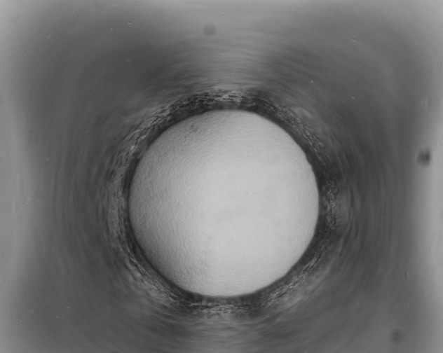 X0000098180769200805011035