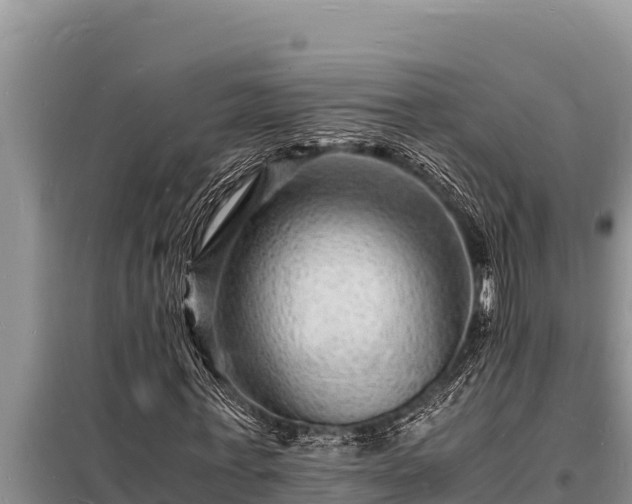 X0000098180771200805011035