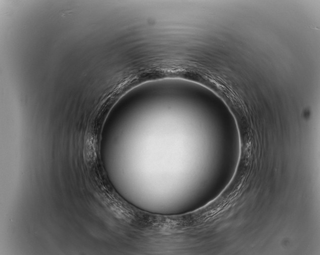 X0000098180772200805011035