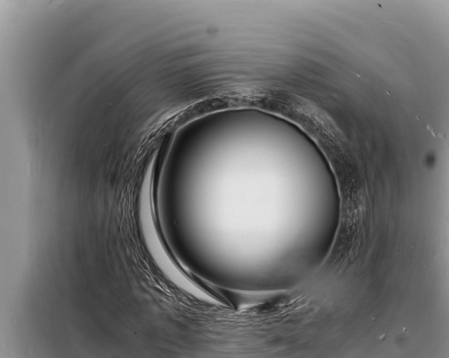 X0000098180773200805011035