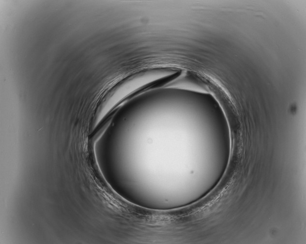 X0000098180777200805011035