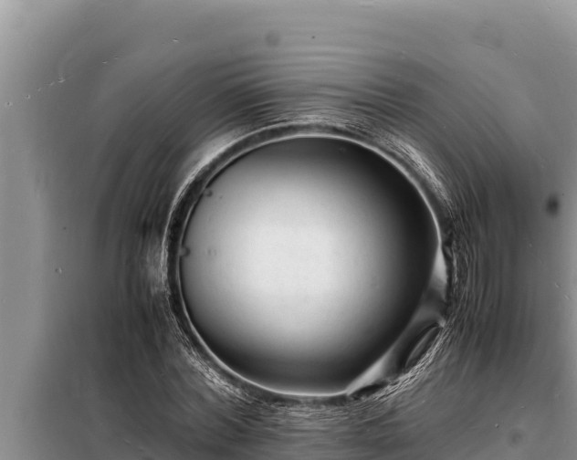 X0000098180780200805011035