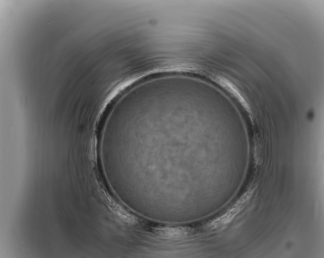 X0000098180781200805011035