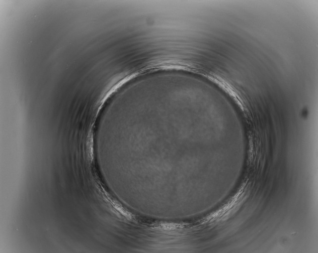 X0000098180782200805011035