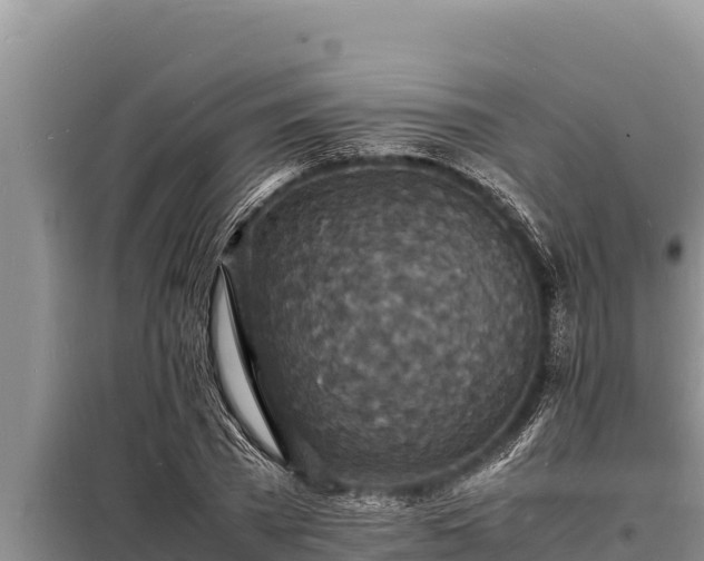 X0000098180785200805011035