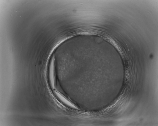 X0000098180787200805011035