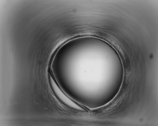 X0000098180789200805011035