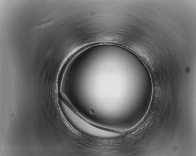 X0000098180792200805011035