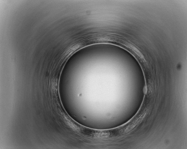 X0000098180793200805011035