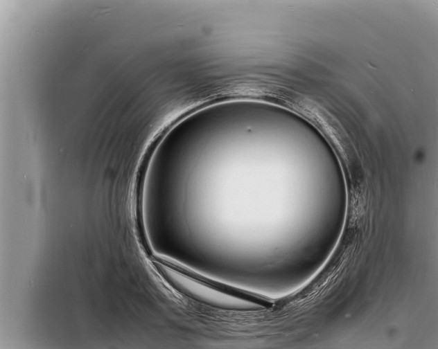 X0000098180795200805011035