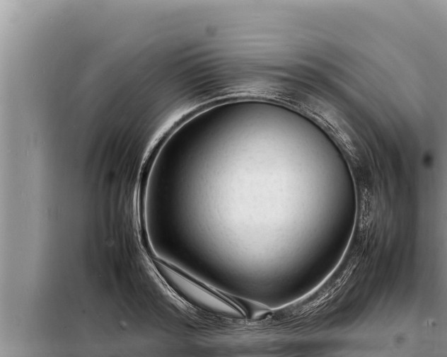 X0000098180796200805011035